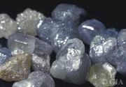 Natural Uncut and Rough Diamonds for sale
