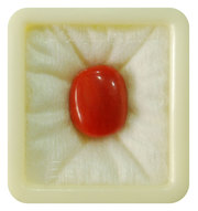Italian Red Coral Stone For Jewelry & Astrology At 9Gem